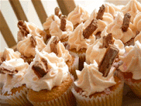 Cupcake Occasion 1101105 Image 1